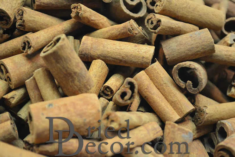 Bulk Cinnamon Sticks 1-6 inches Long