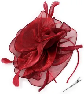 DRESHOW Fascinators Hat Tea Party Headwear Ribbons Feathers on a Headband and a Clip for Girls and Women