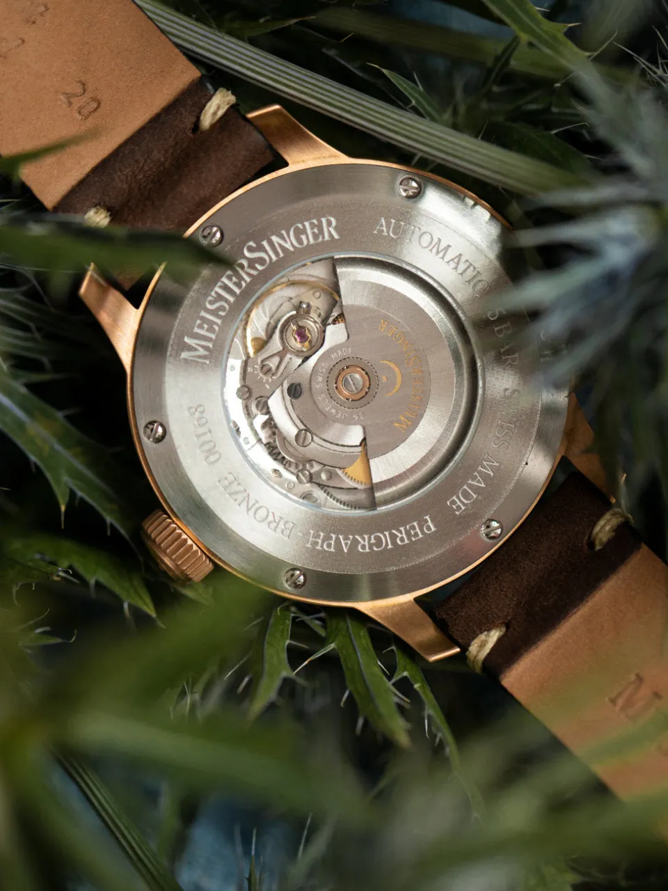 MS Watch Perigraph Bronze Line