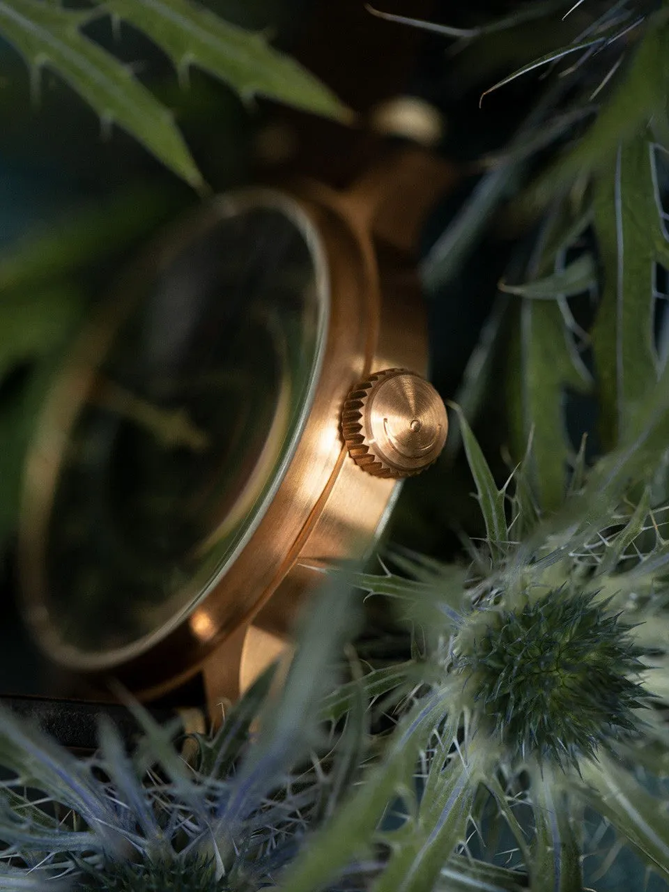 MS Watch Perigraph Bronze Line