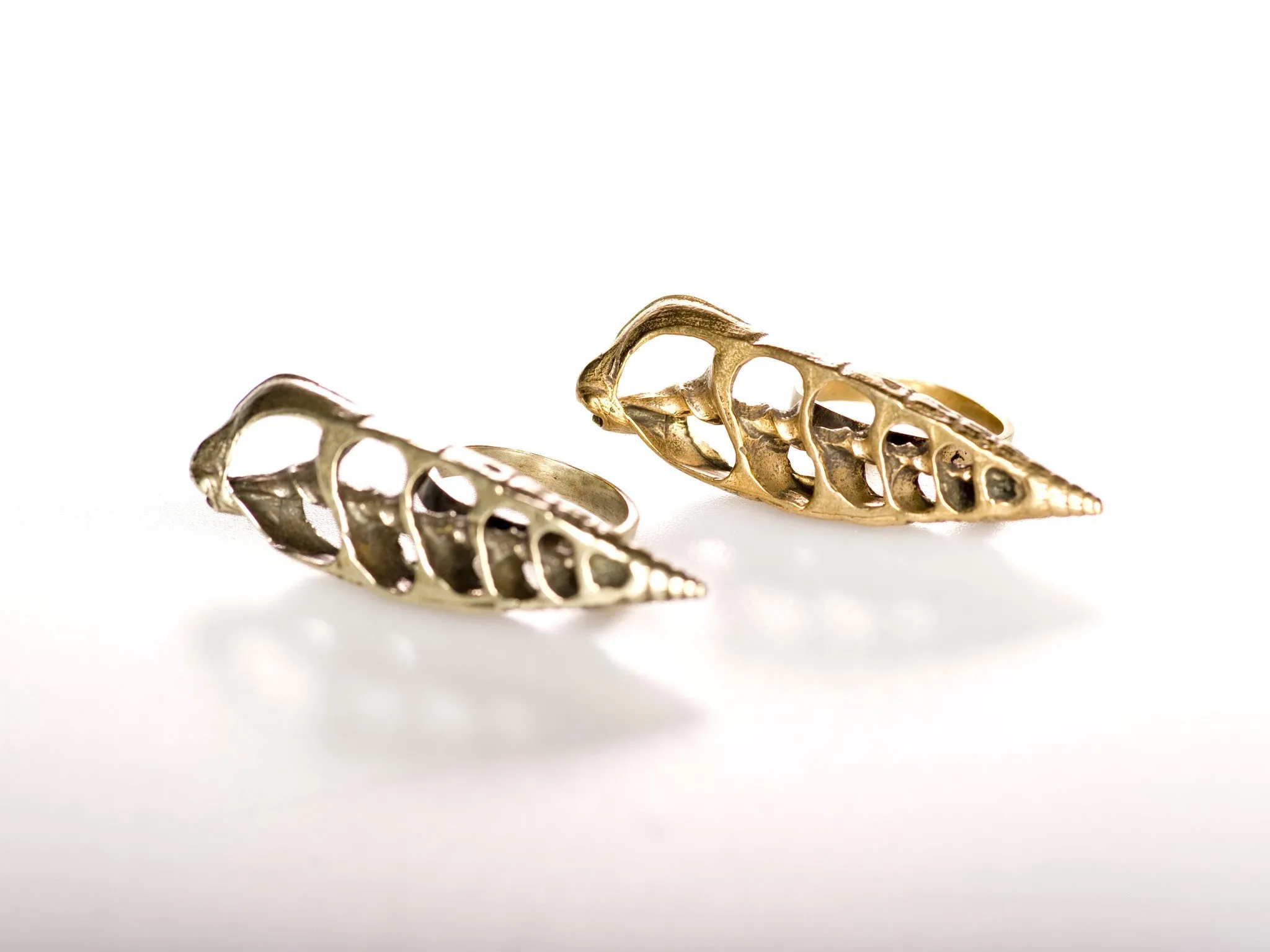 Sea Shell Ring, Vertical