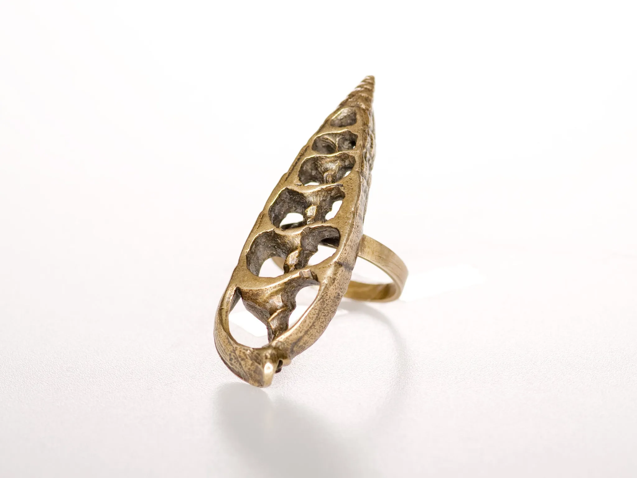 Sea Shell Ring, Vertical